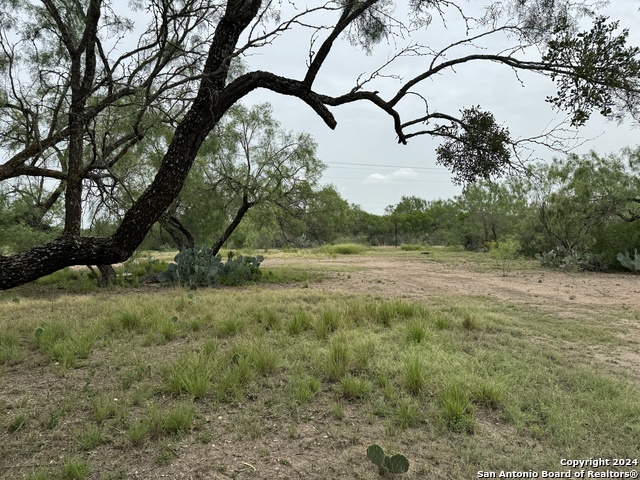 3668 W Us Highway 90 Property Photo 29