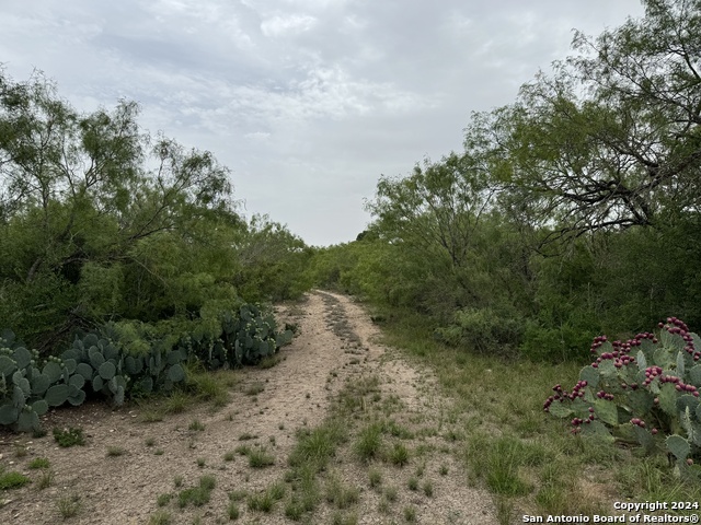 3668 W Us Highway 90 Property Photo 30