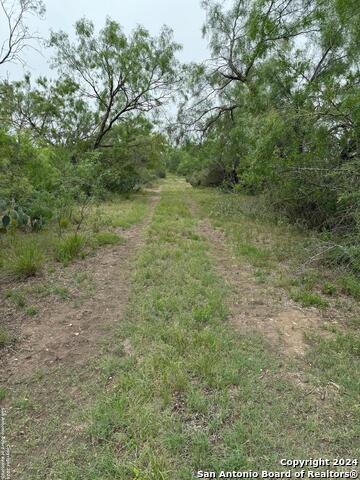 3668 W Us Highway 90 Property Photo 31