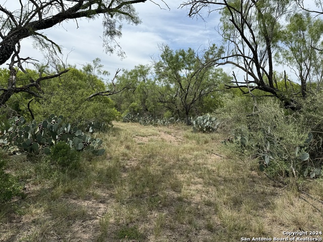3668 W Us Highway 90 Property Photo 32