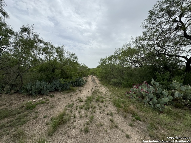 3668 W Us Highway 90 Property Photo 33
