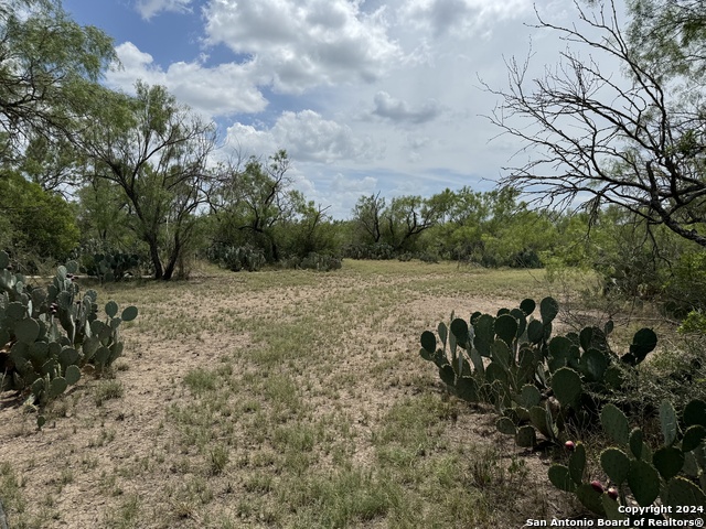 3668 W Us Highway 90 Property Photo 35