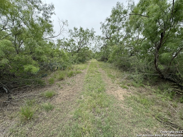 3668 W Us Highway 90 Property Photo 36