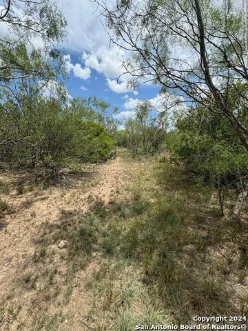 3668 W Us Highway 90 Property Photo 39