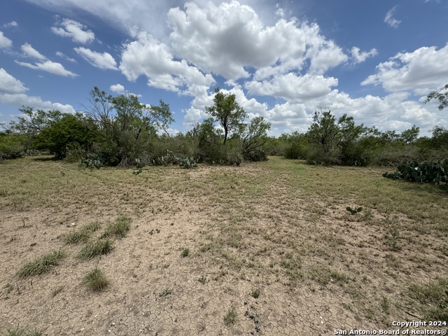 3668 W Us Highway 90 Property Photo 41