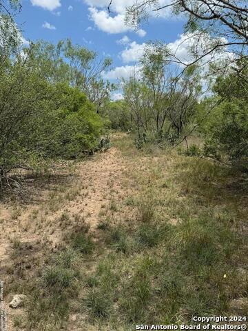 3668 W Us Highway 90 Property Photo 42