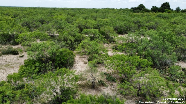 3668 W Us Highway 90 Property Photo 44