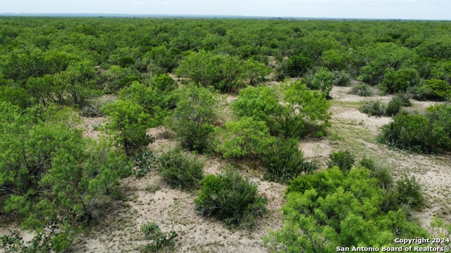 3668 W Us Highway 90 Property Photo 45