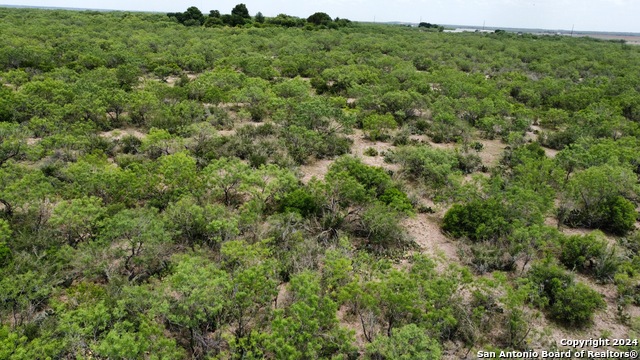 3668 W Us Highway 90 Property Photo 46