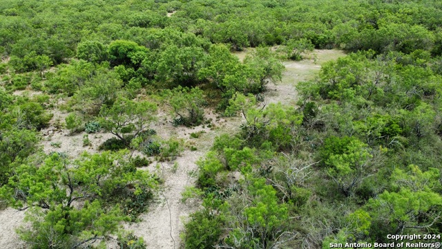 3668 W Us Highway 90 Property Photo 49