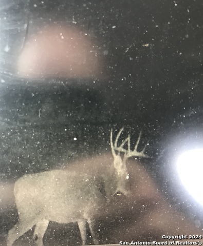 3668 W Us Highway 90 Property Photo 53