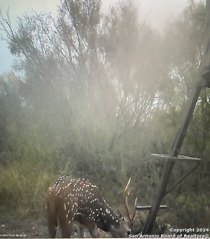 3668 W Us Highway 90 Property Photo 55