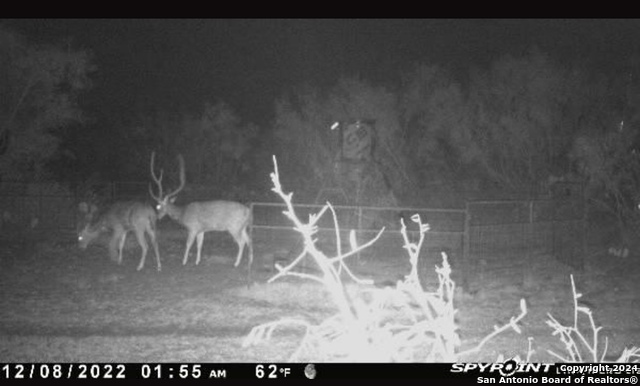 3668 W Us Highway 90 Property Photo 56