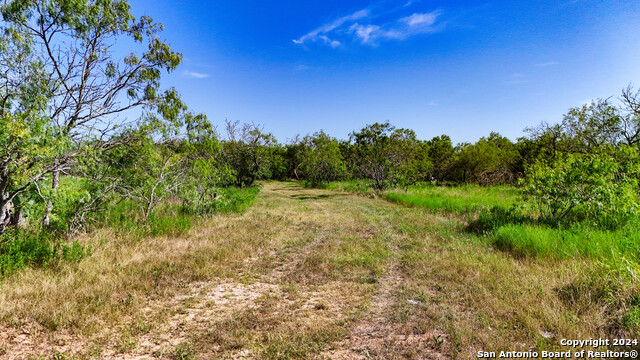 Tract 1 9 +/- Acres County Road 426 Property Photo 8