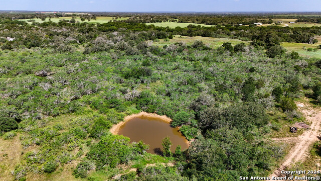 Tract 1 9 +/- Acres County Road 426 Property Photo 20