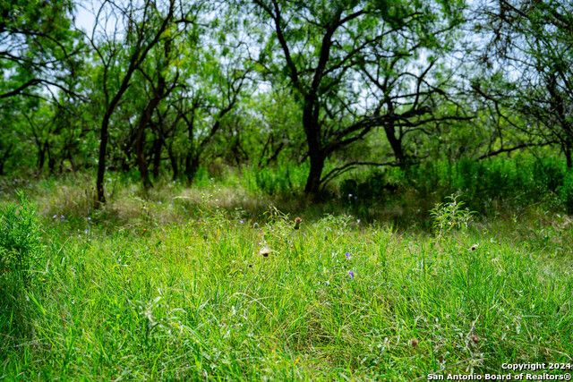 Tract 1 9 +/- Acres County Road 426 Property Photo 32