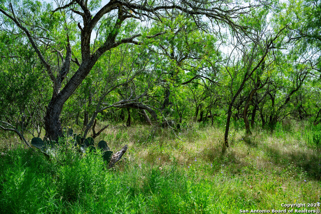 Tract 1 9 +/- Acres County Road 426 Property Photo 33