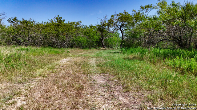 Tract 1 9 +/- Acres County Road 426 Property Photo 37