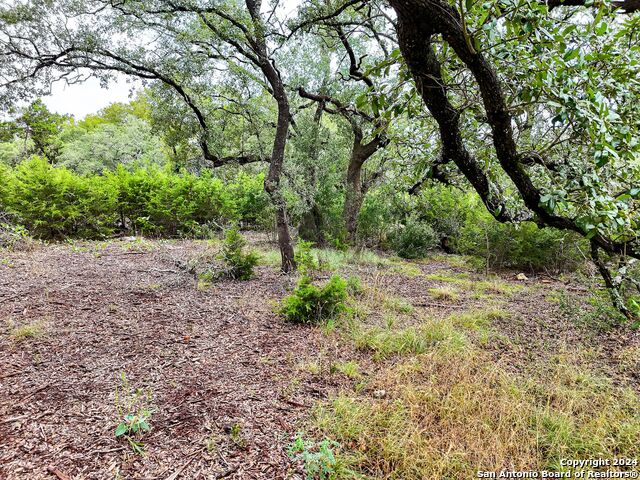 27530 Sunset Loop Property Photo 8