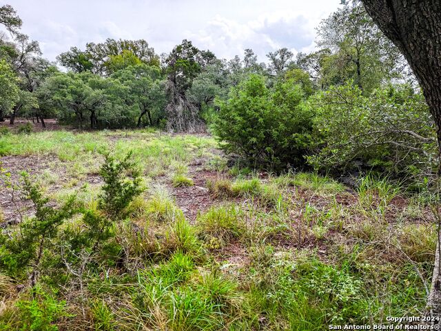27530 Sunset Loop Property Photo 9