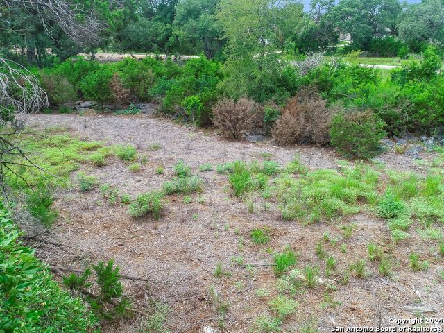27530 Sunset Loop Property Photo 17