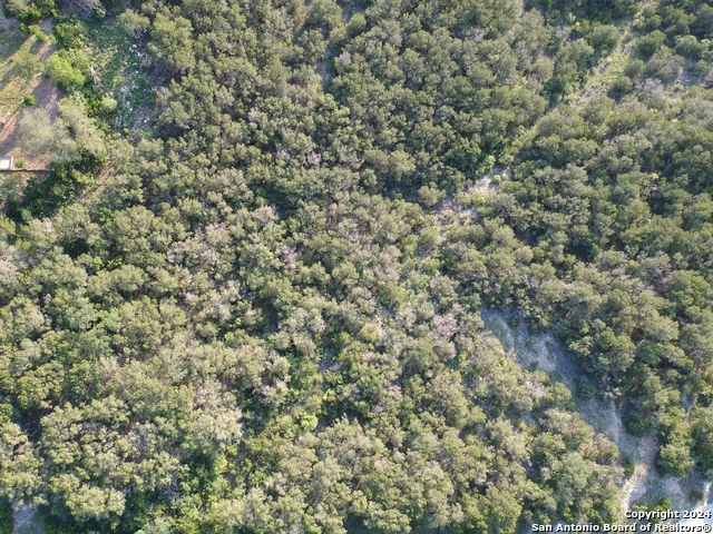 Lot 267 County Road 2752 Property Photo 16