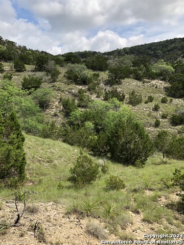 1215 Montell Rd Property Photo 6