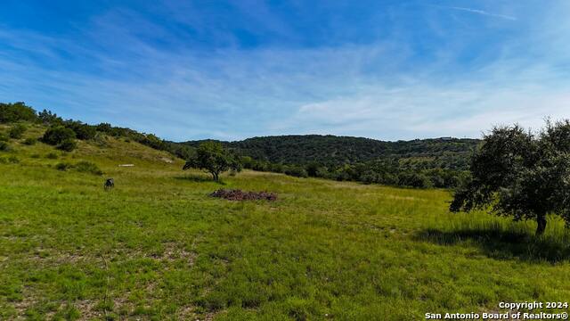 1215 Montell Rd Property Photo 20