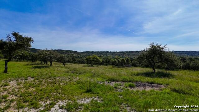 1215 Montell Rd Property Photo 23