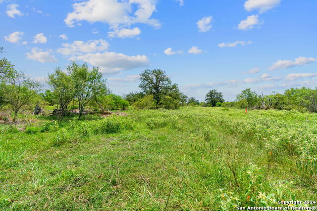 Lot 24 County Road 406 Property Photo 2
