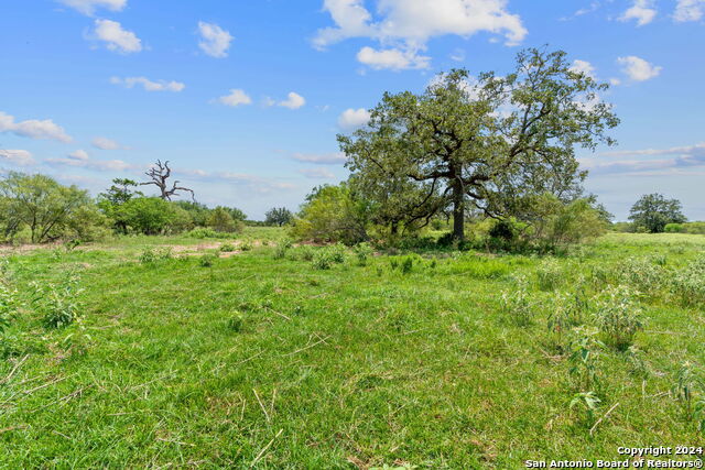 Lot 24 County Road 406 Property Photo 4