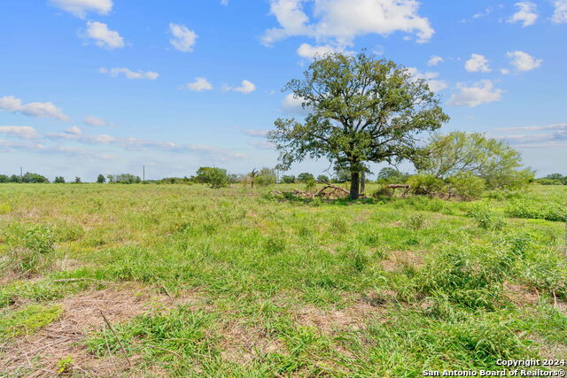 Lot 24 County Road 406 Property Photo 5