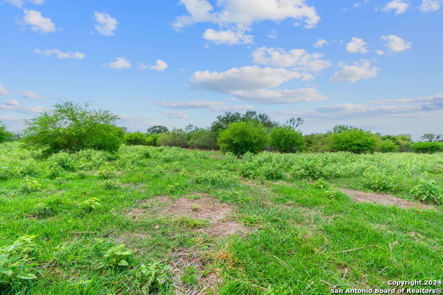 Lot 24 County Road 406 Property Photo 6