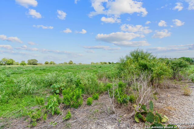 Lot 24 County Road 406 Property Photo 7