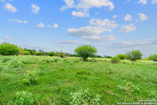 Lot 24 County Road 406 Property Photo 8