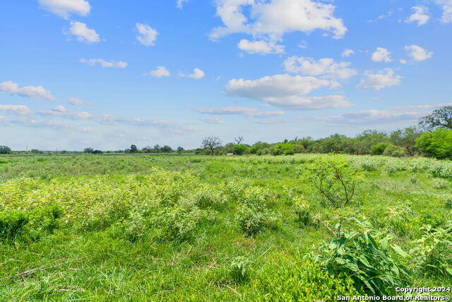 Lot 24 County Road 406 Property Photo 13