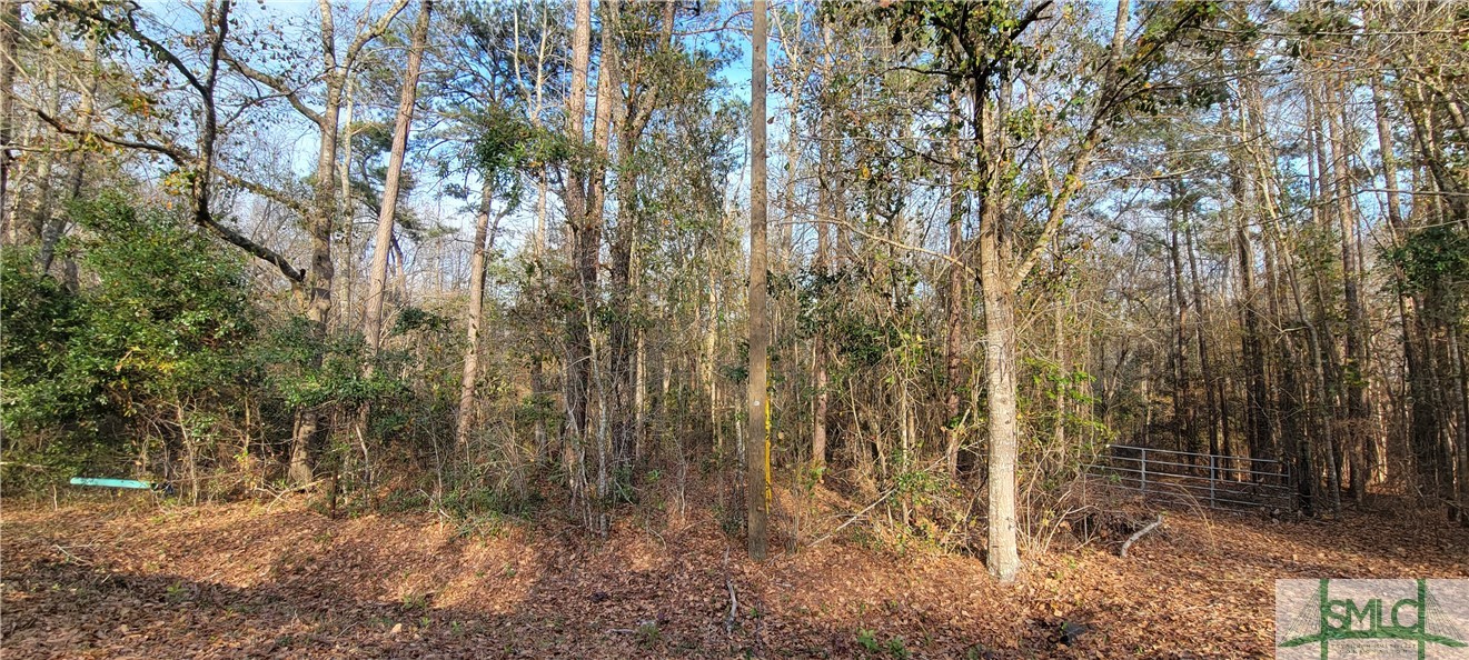 0 Pine Needle Drive Property Photo 1
