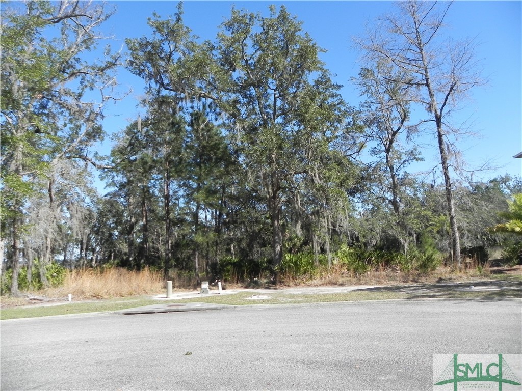 0 River View Court Property Photo 1