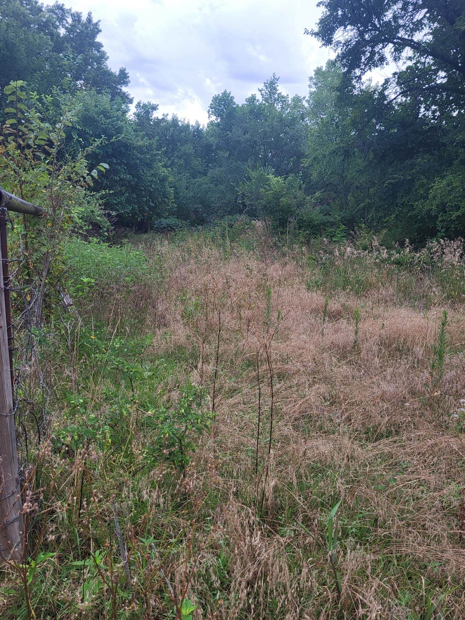 123 6th St Property Photo 4