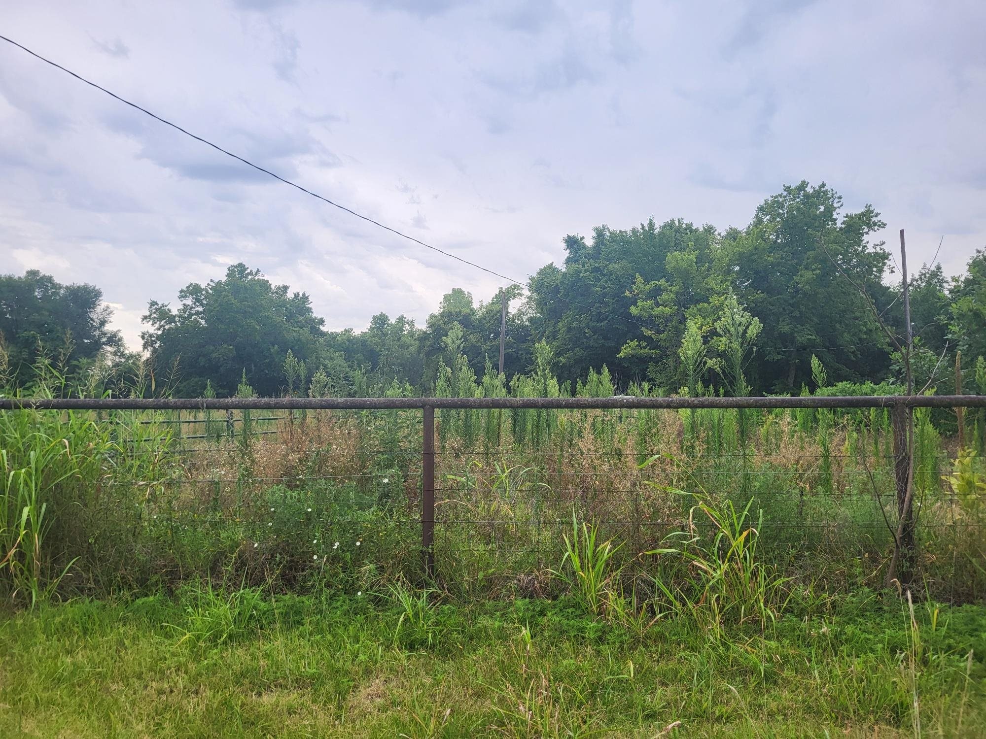 123 6th St Property Photo 5