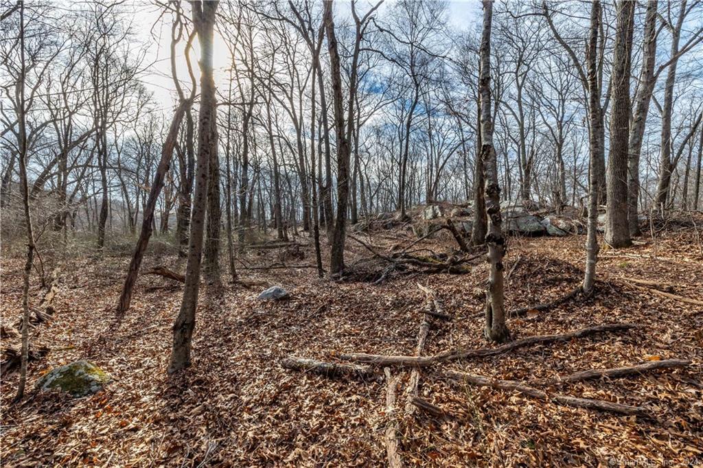 382 Middlesex Turnpike Property Photo 5