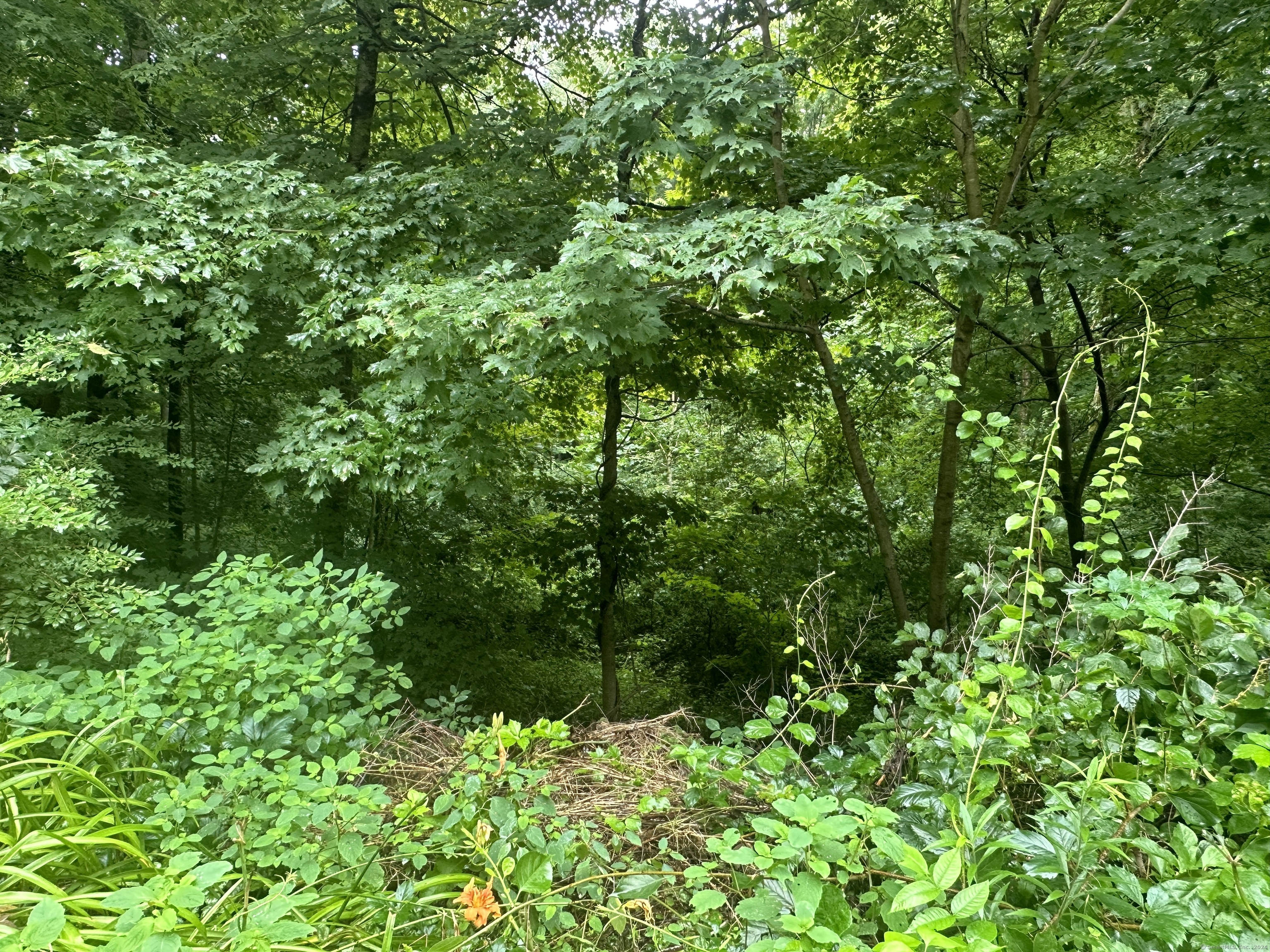 10 Railroad Avenue Property Photo 6