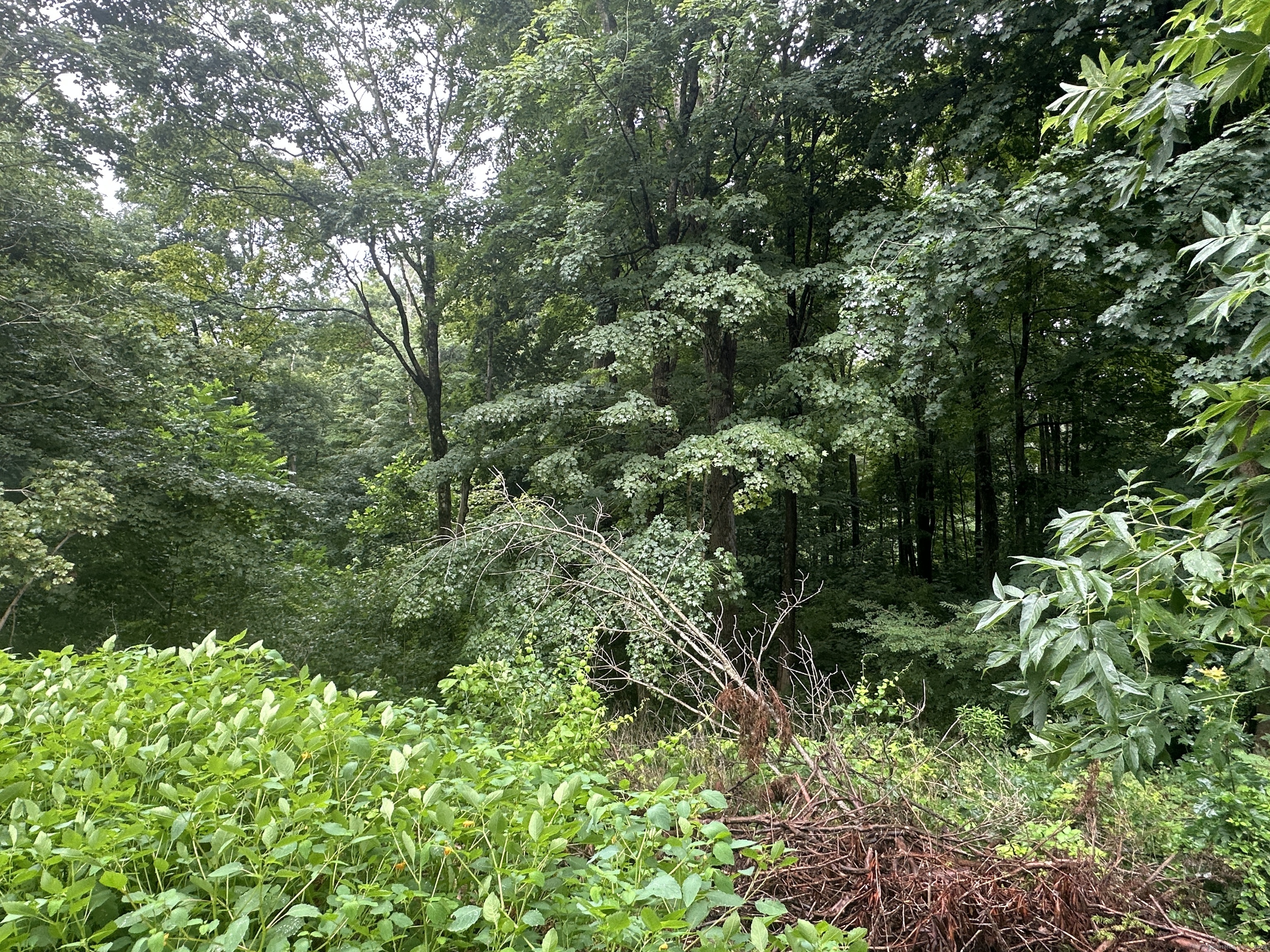 10 Railroad Avenue Property Photo 9