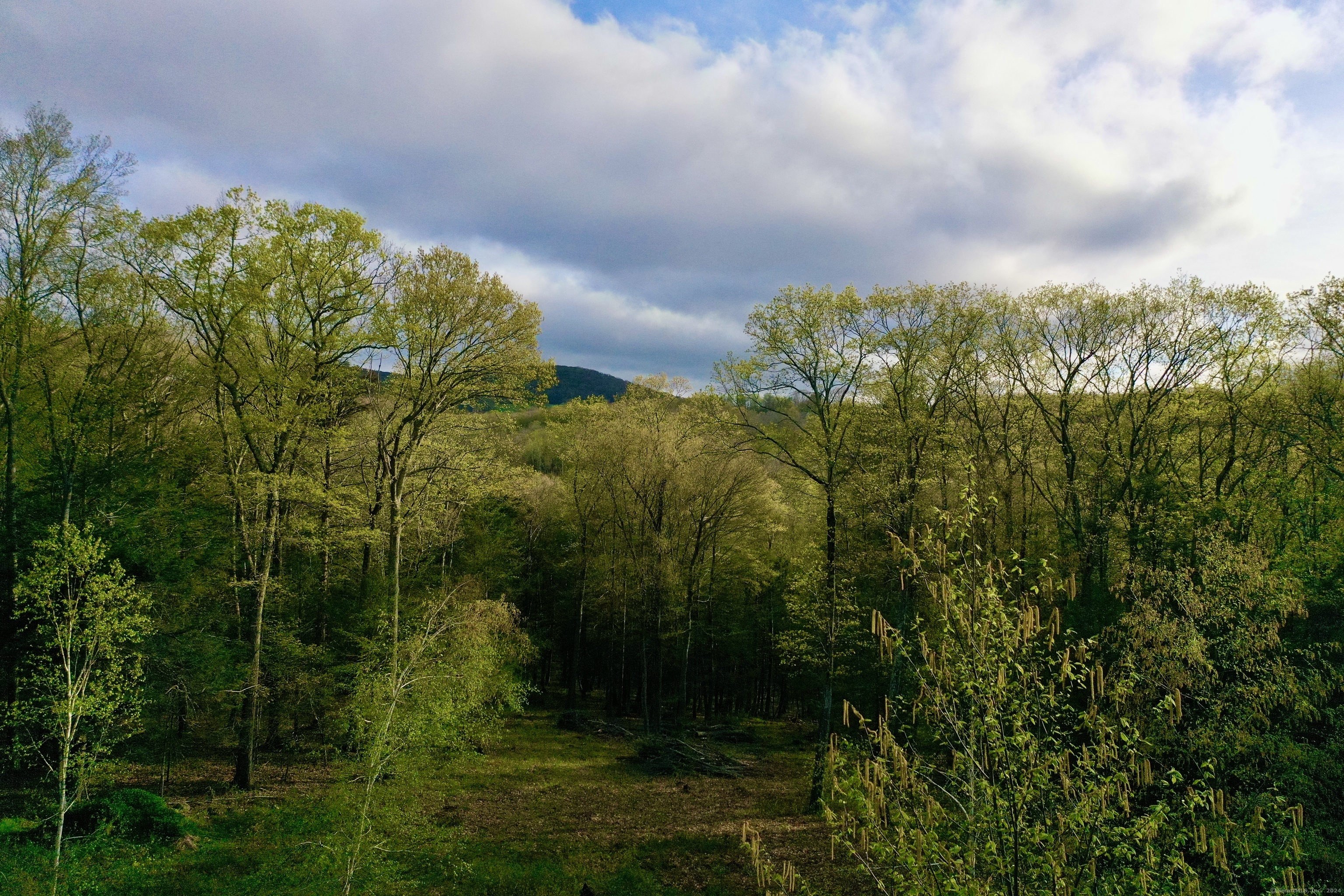 77a Belgo Road Property Photo 16