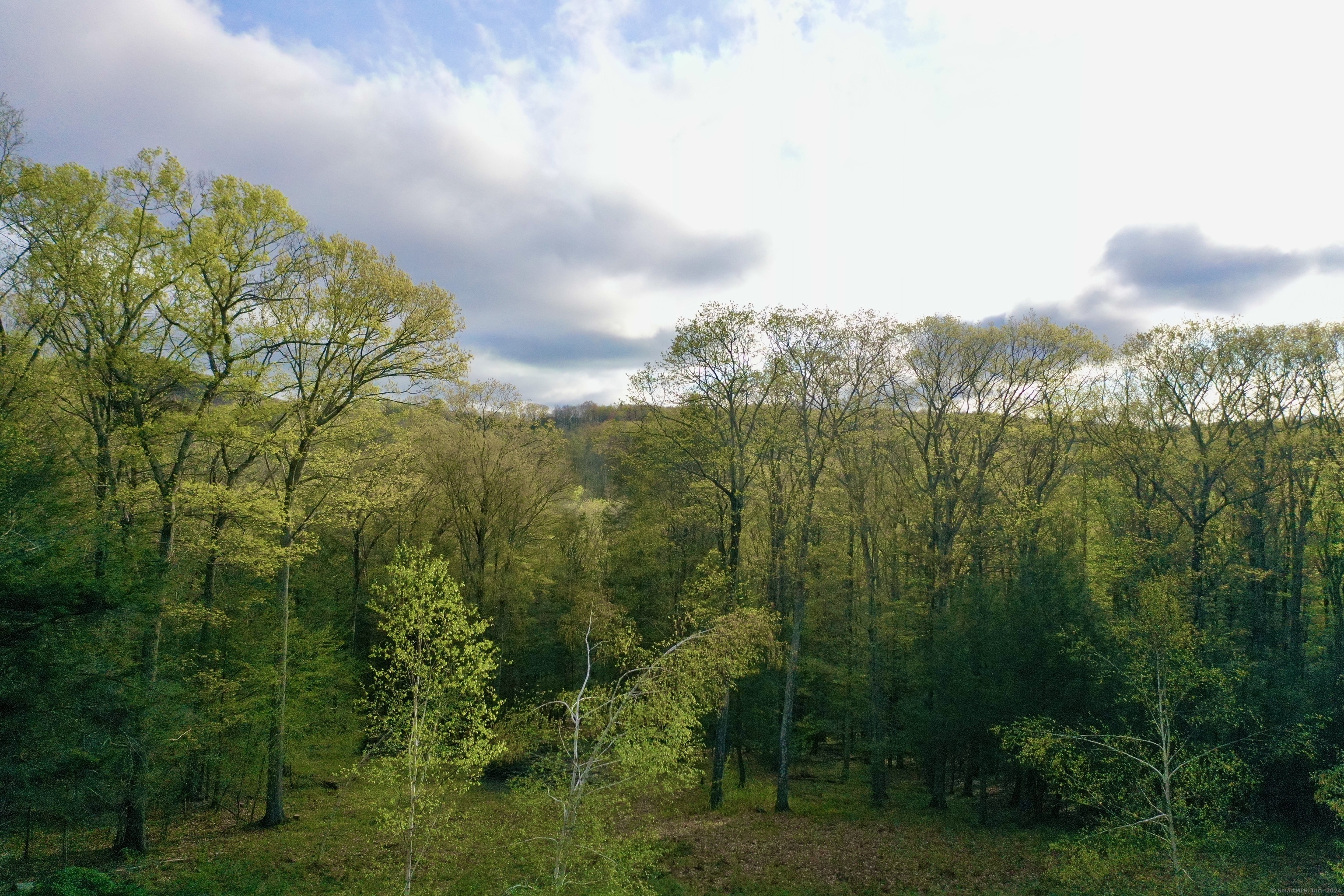 77a Belgo Road Property Photo 25