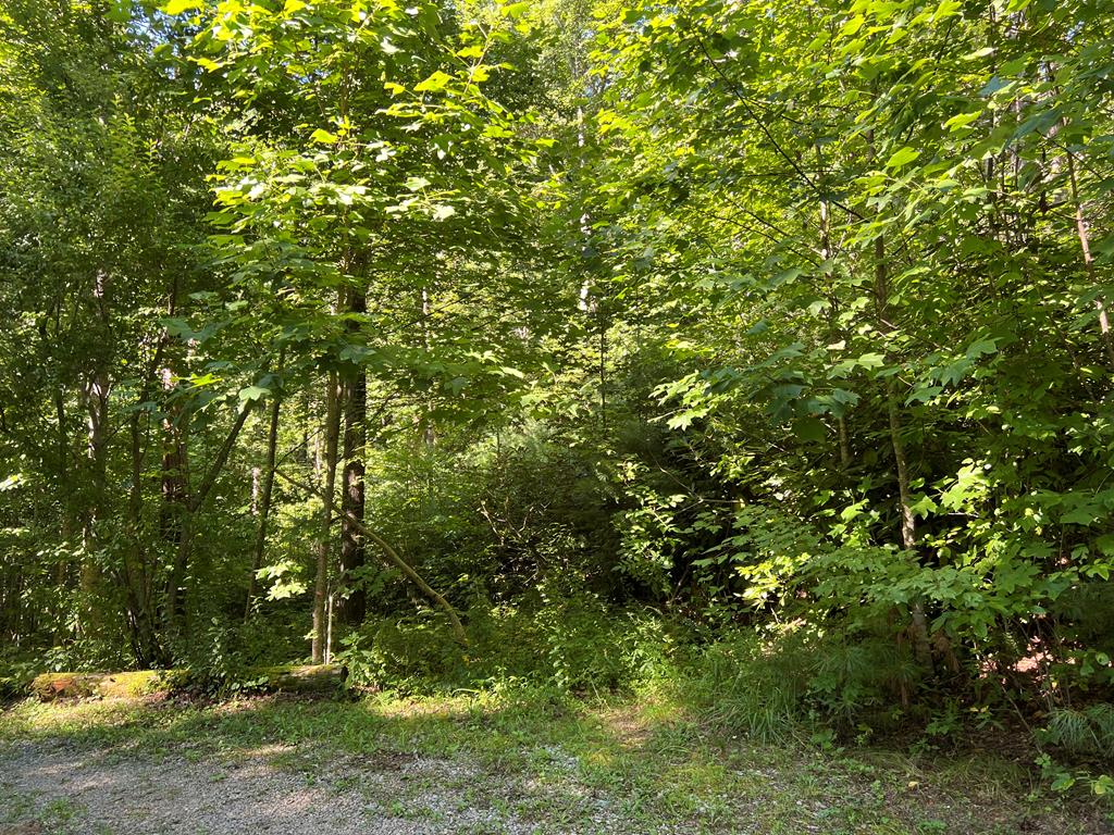 Moms Falls Real Estate Listings Main Image