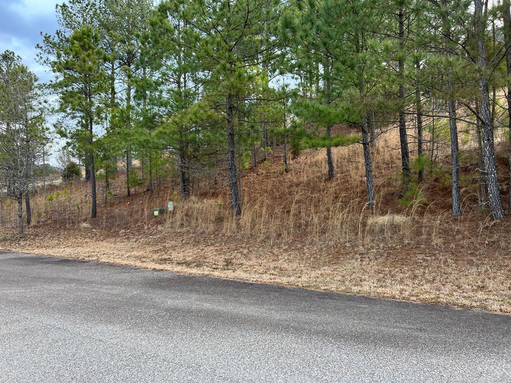 Pinehurst Real Estate Listings Main Image