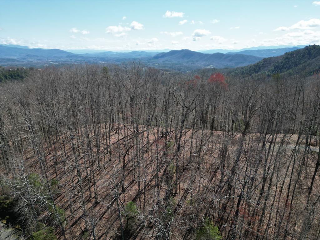 Huntington Woods Real Estate Listings Main Image