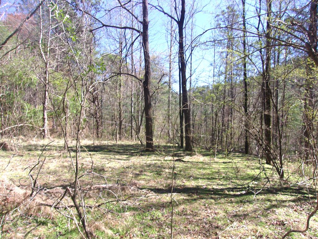 Long Branch Estates Real Estate Listings Main Image