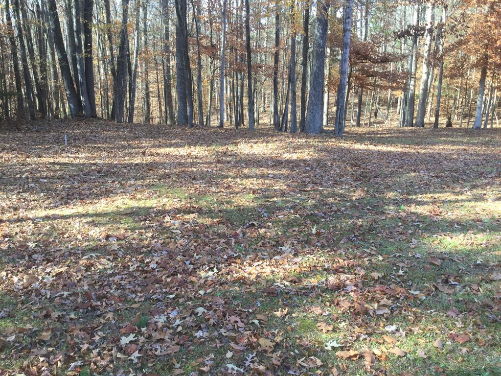 Lot 4 Cedar Point Drive Property Photo